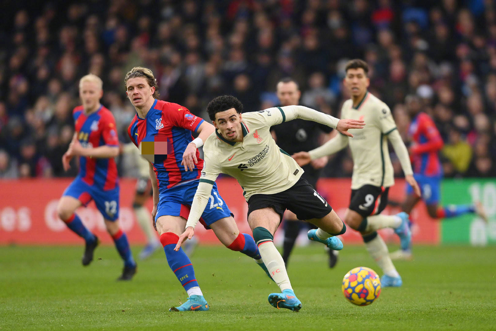 会操作都备 会操作都备